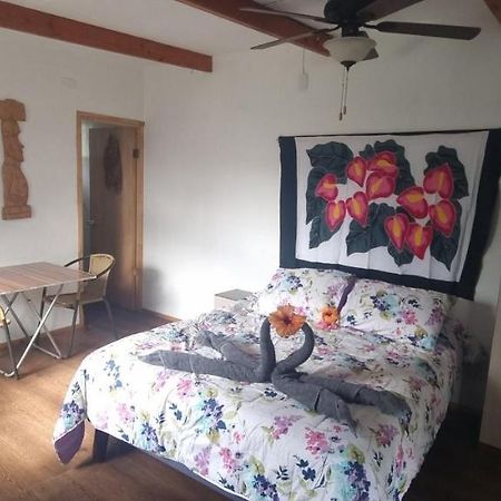 شقة Hostal Henua Roa 2 هانجا روا المظهر الخارجي الصورة